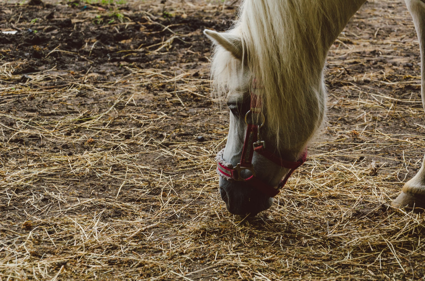 shane-rounce-x3Hq7Y61ApQ-unsplash