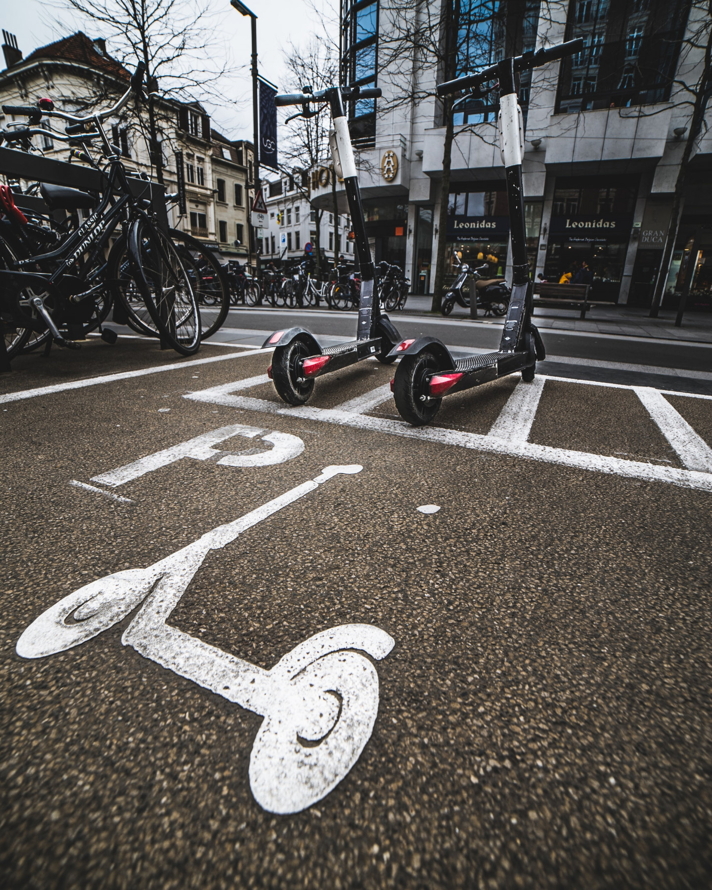 mika-baumeister-LJJByQpbL1U-unsplash