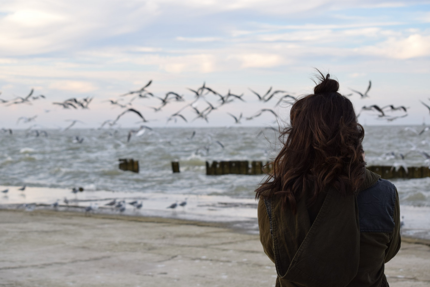 david-solce-QDPYvmsoURs-unsplash