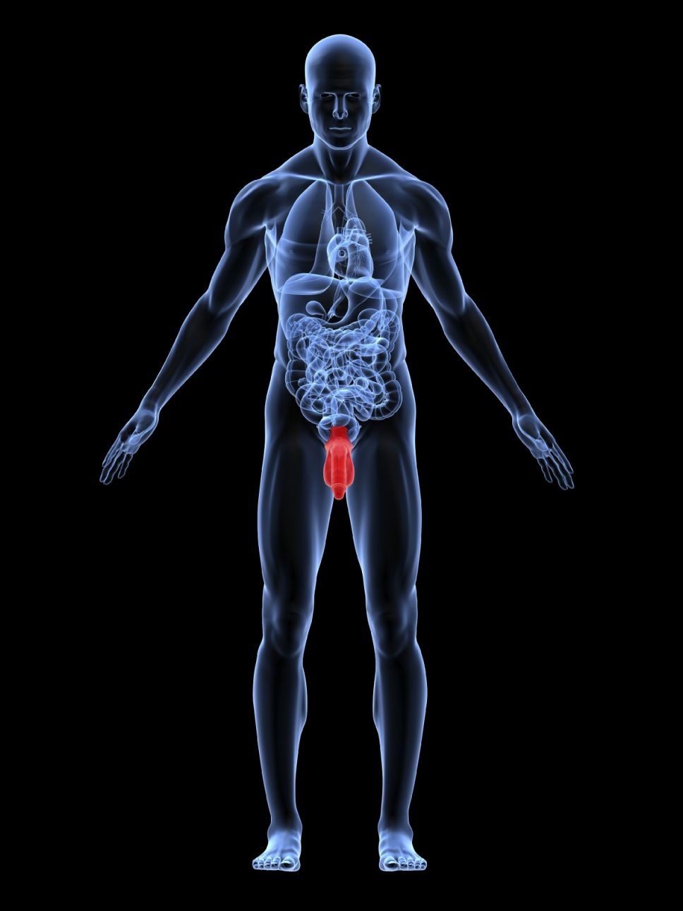 image_of_penis