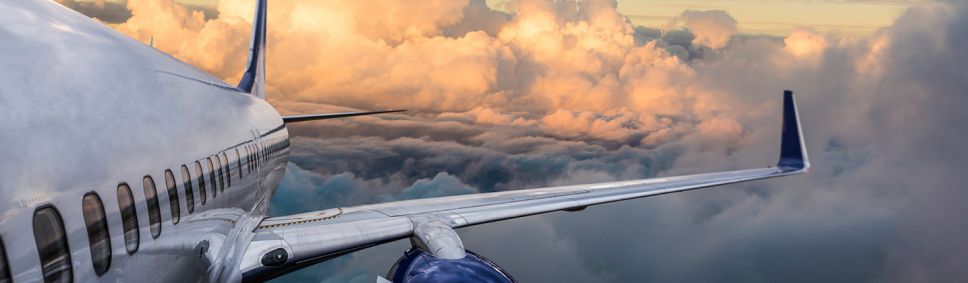 panel_flights