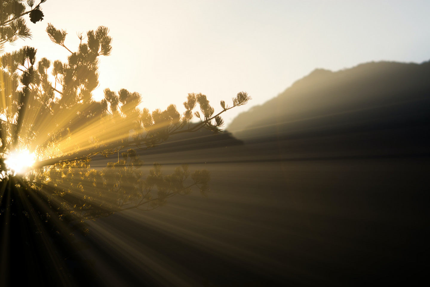 thomas-kinto-K9WKqYj55E0-unsplash