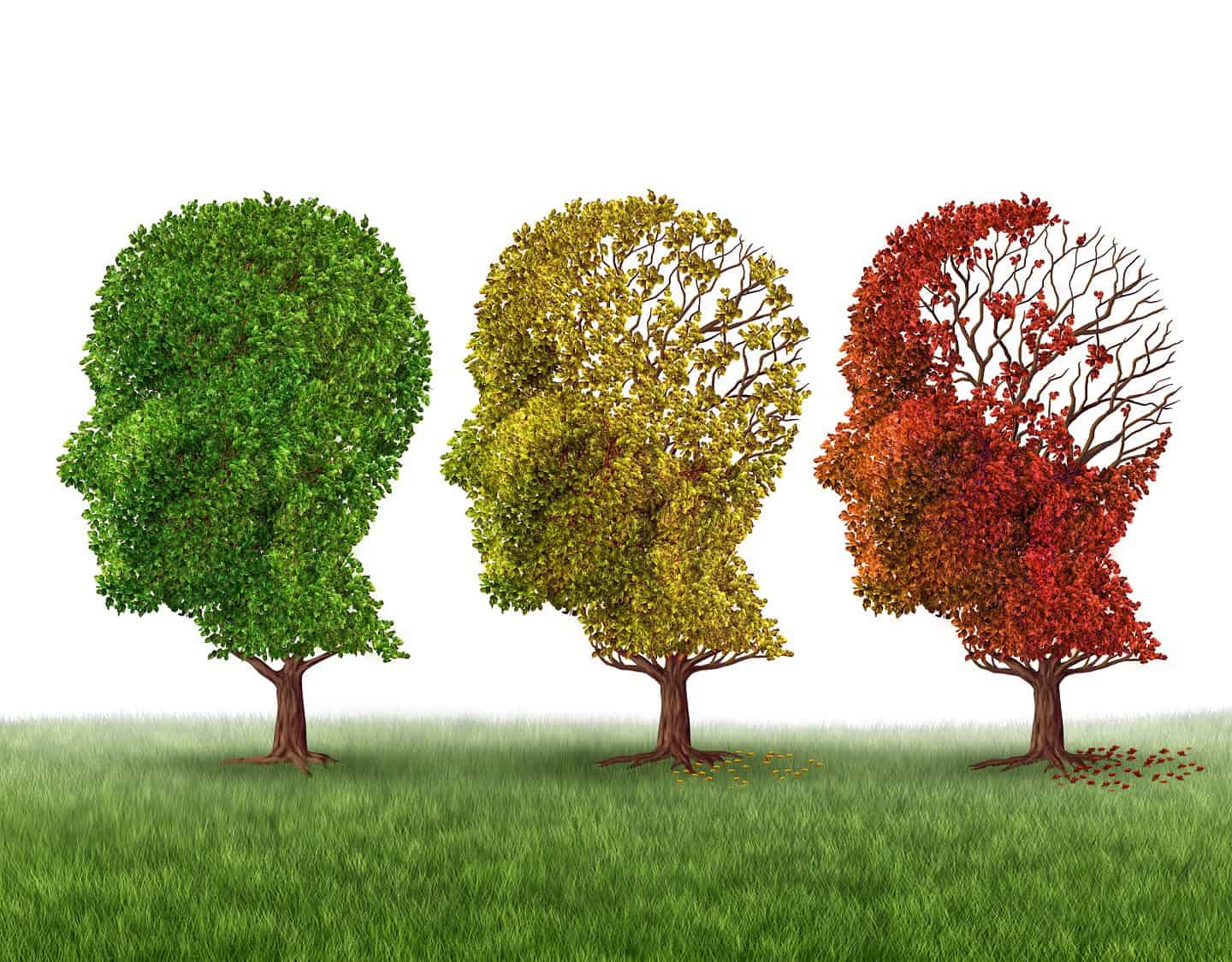 Memory,Loss,And,Brain,Aging,Due,To,Dementia,And,Alzheimer’s