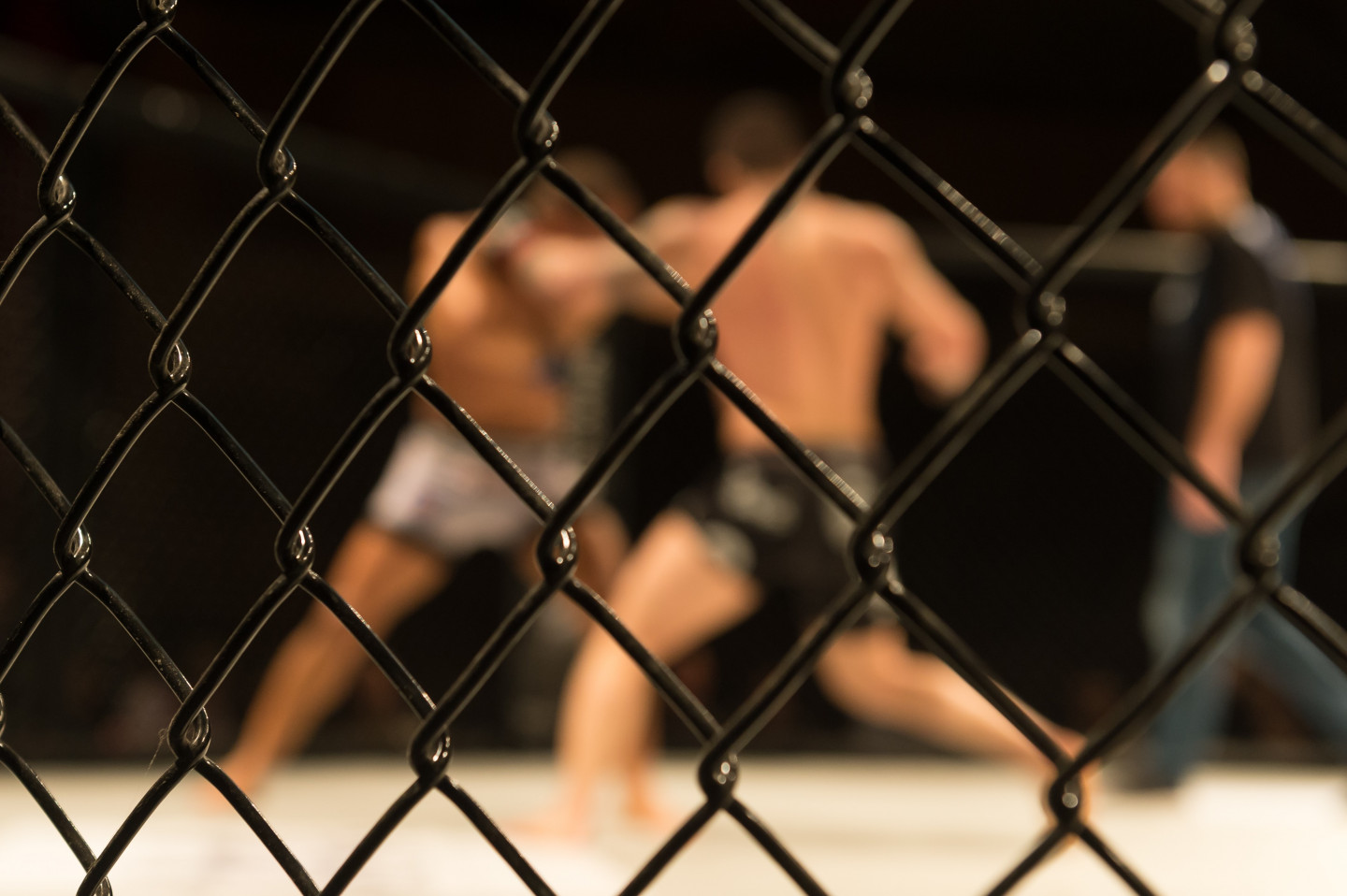 Martial Arts and Combat Sports