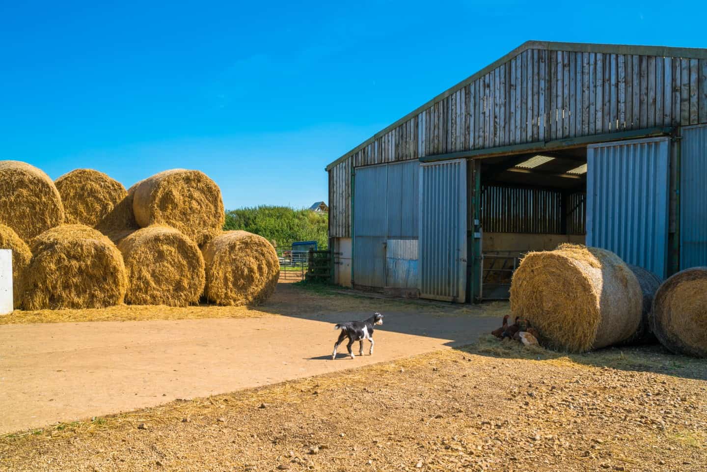 Accidents on farms