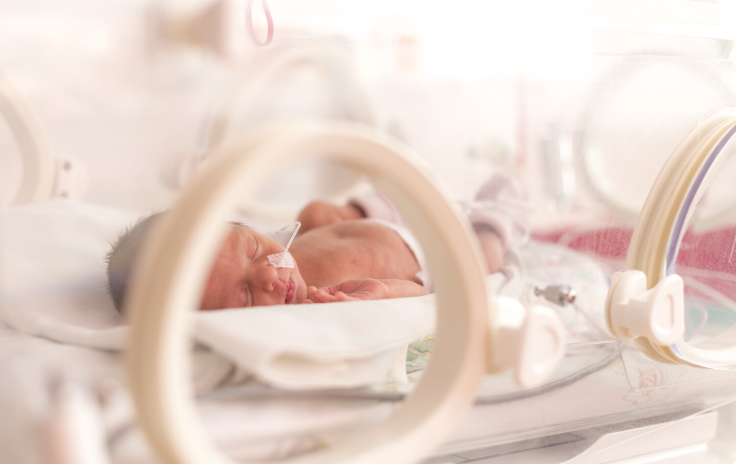 Premature,Newborn,Baby,Girl,In,The,Hospital,Incubator,After,C-section