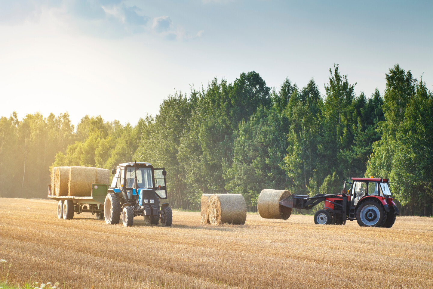Agricultural,Machinery,On,A,Chamfered,Golden,Field,Moves,Bales,Of